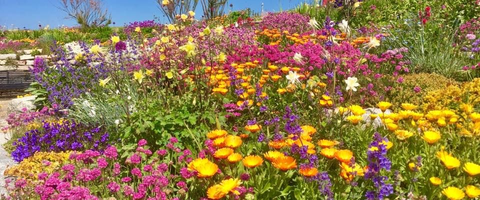 Sandown Castle Community Garden, Deal, Kent